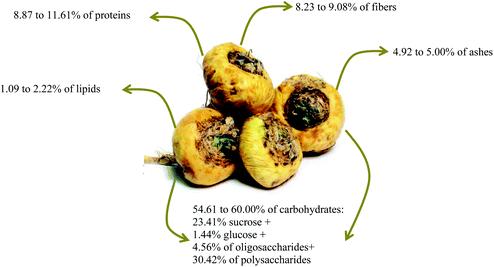 Composición nutricional y beneficios de la maca peruana